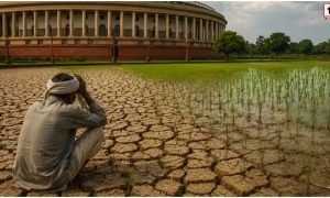 Kharif Sowing 2026