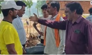 Korba Land Demarcation :