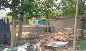 Korba Land Mafia