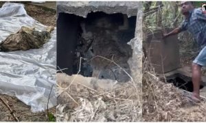 Korba Murder
