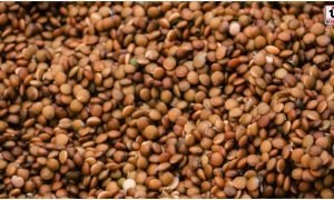 Kulthi Dal Benefits