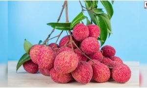 Litchi Benefits