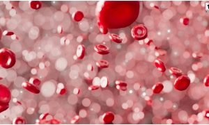 Low Hemoglobin Diet