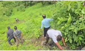 Maharashtra Crime