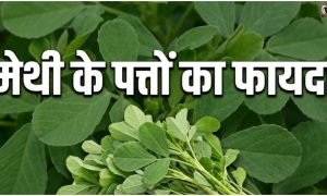 Methi Leaves Benefits