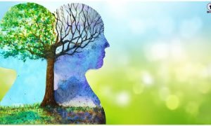Mind Peace Tips
