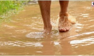 Monsoon Health Tips
