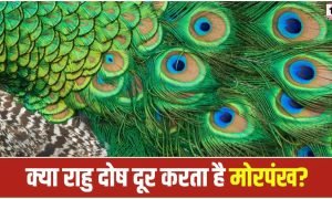 Mor Pankh Benefits