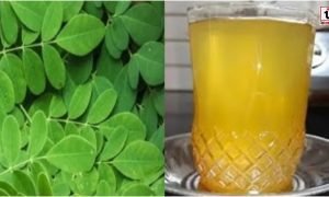 Moringa Leaves Water