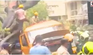 Mumbai Bus Accident