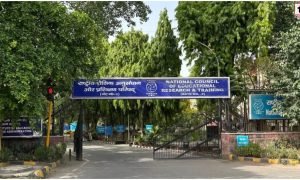 NCERT CIET Recruitment 2026
