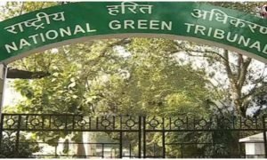NGT Action