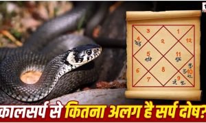 Nag Panchami 2026