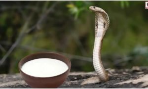 Nag Panchami 2026