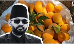 Nepal Indian Mango Ban