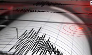 New Zealand Earthquake