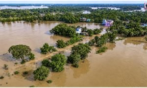 Odisha Flood