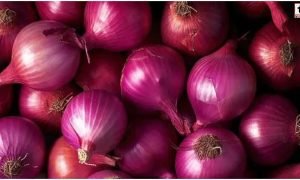 Onion Price Hike