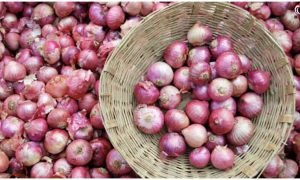 Onion Price Hike