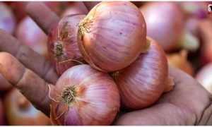 Onion Price
