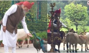 PM Modi Video