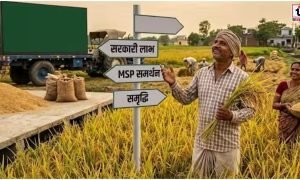 Paddy Farmers