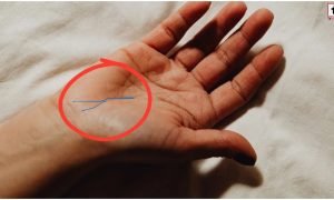Palmistry Y Sign