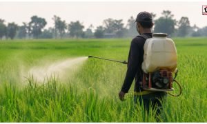 Pesticide Poisoning First Aid