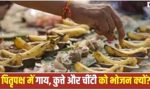 Pitru Paksha 2026