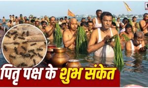Pitru Paksha 2026