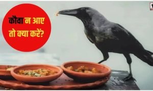 Pitru Paksha 2026