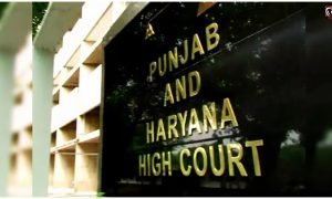 Punjab Pharmacy Officer Recruitment