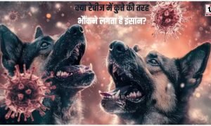 Rabies Fact Check: