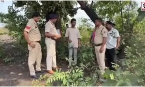Raigarh Crime