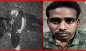 Raigarh Murder Case