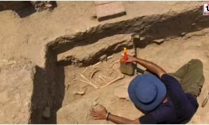 Rakhigarhi DNA Study