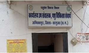 Sarguja News