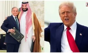 Saudi-Turkey-Pak Defence Pact