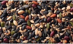 Seeds Eating Tips