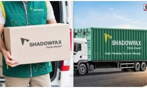 Shadowfax Share