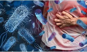 Shigella Outbreak Kerala