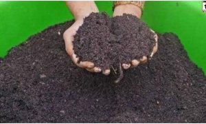 Shivansh Organic Fertilizer