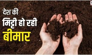 Soil Nitrogen