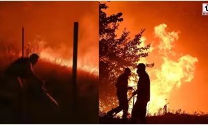 Spain Wildfire