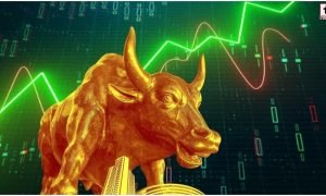 Stock Market Rally