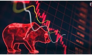 Stock Market