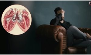 Stress and Heart Health