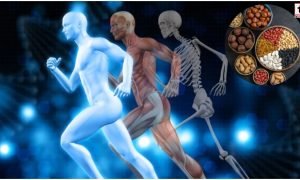 Strong Bones Diet