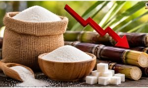 Sugar Price Drop