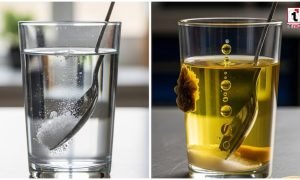 Sugar in Petrol Tank Myth